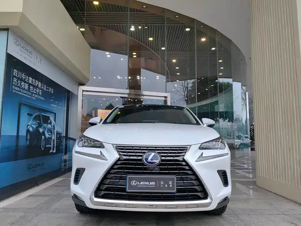 Lexus NX 2021 из CN, фото 1