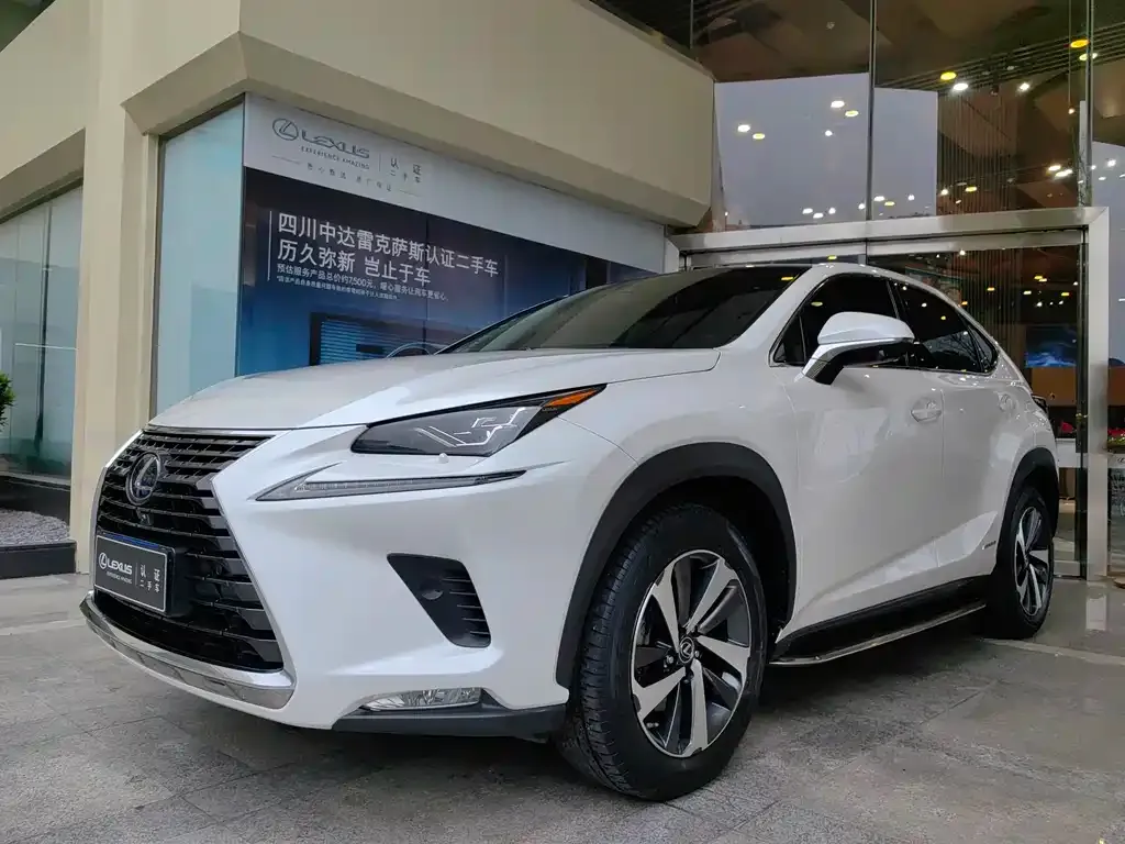 Lexus NX 2021 из CN, фото 8