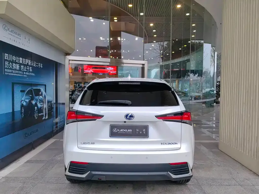 Lexus NX 2021 из CN, фото 5