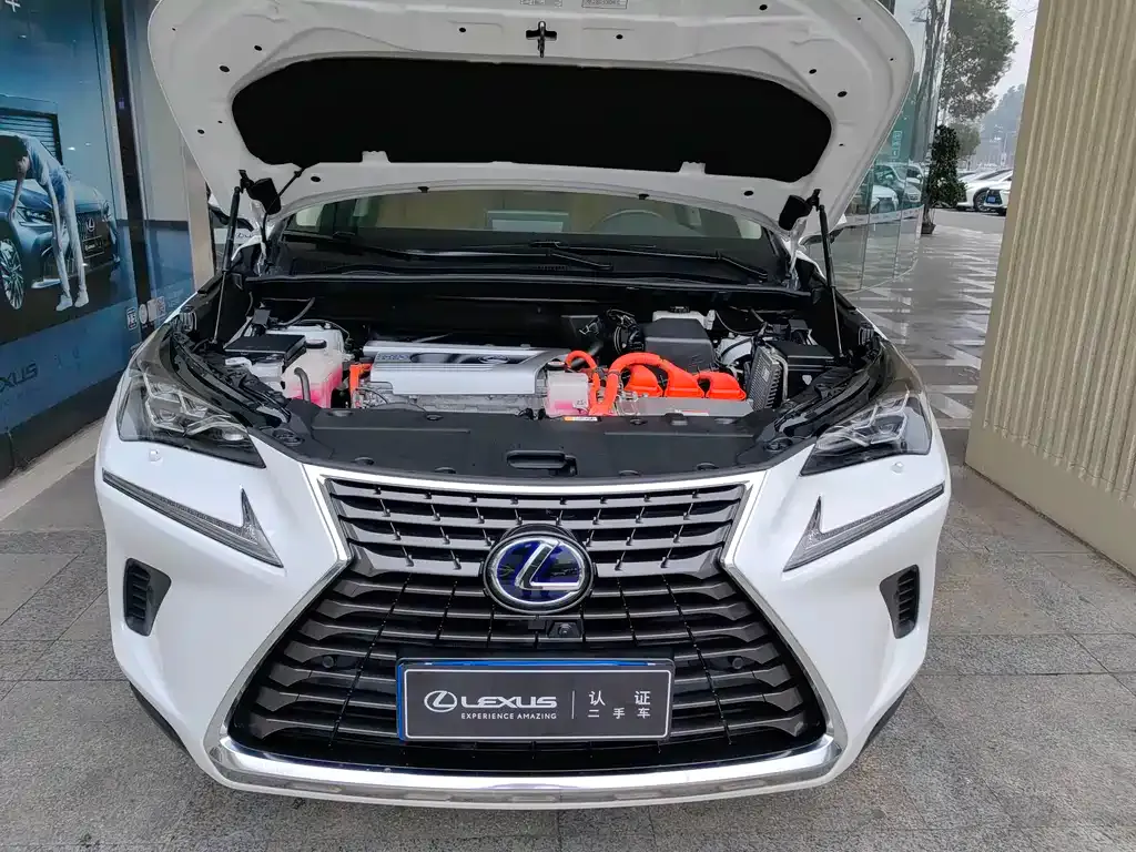 Lexus NX 2021 из CN, фото 7