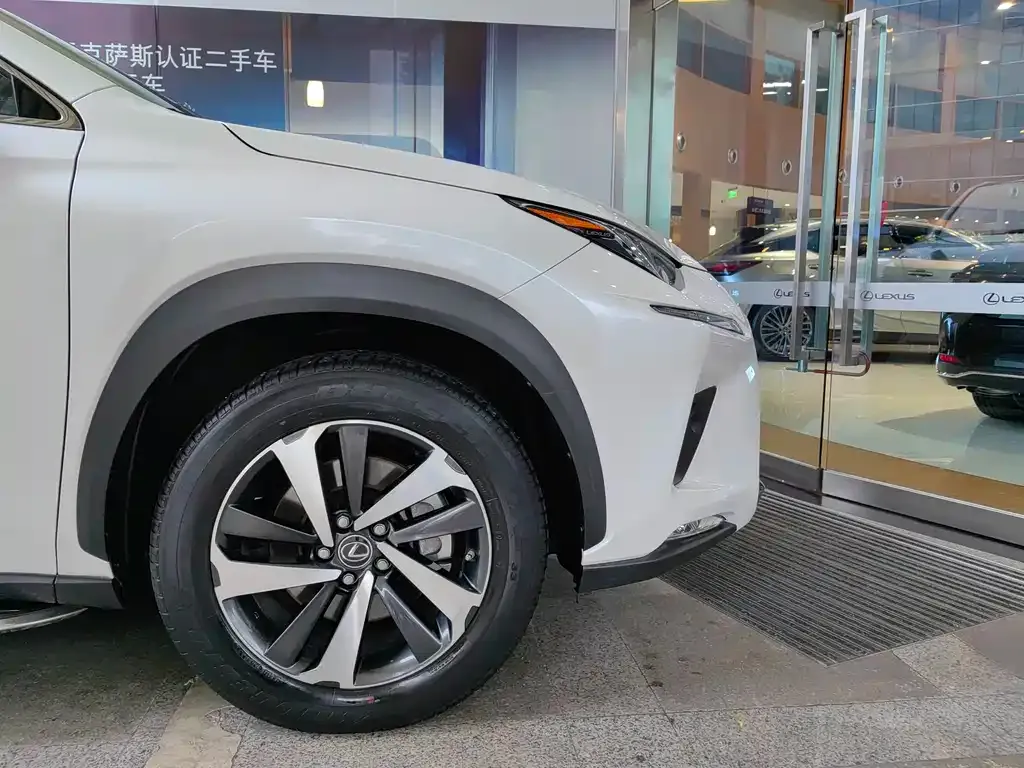 Lexus NX 2021 из CN, фото 4