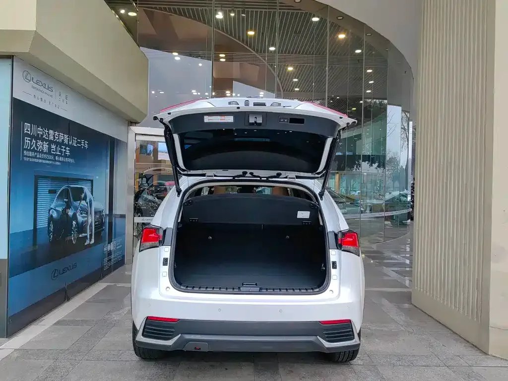 Lexus NX 2021 из CN, фото 3