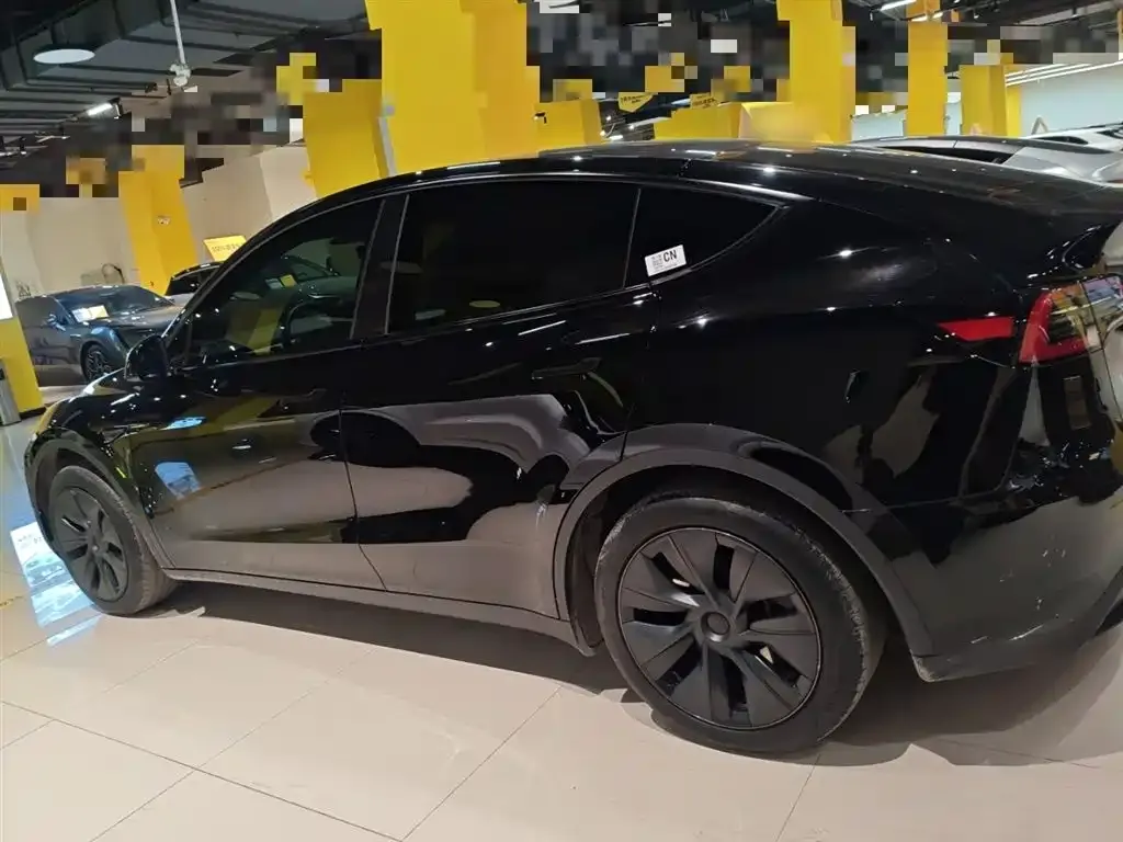 Tesla Model Y 2024 из CN, фото 5