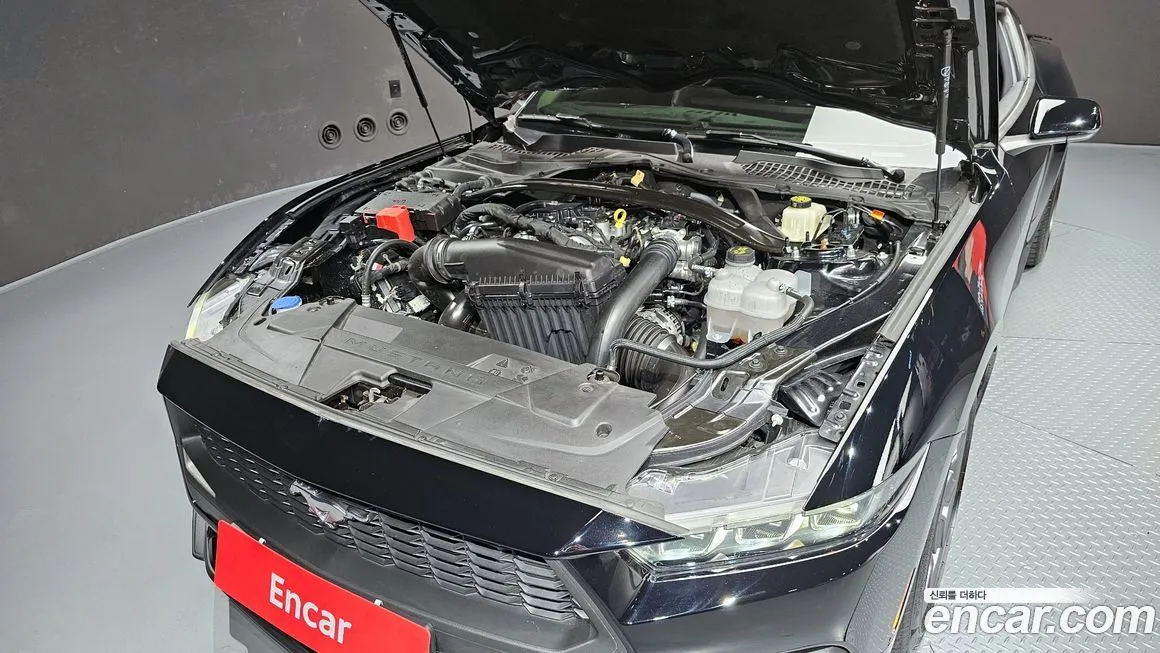 Ford Mustang 2024 из KR, фото 3