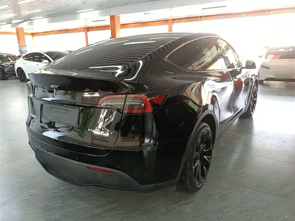 Tesla Model Y — фото 8
