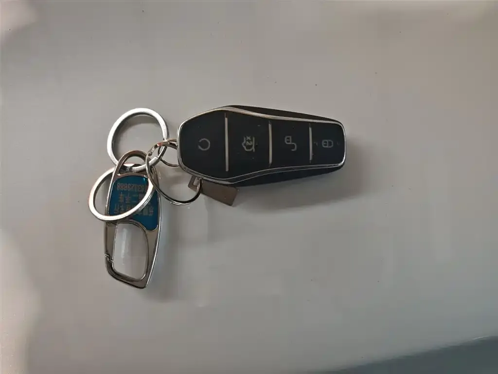 BYD Qin L 2025 из CN, фото 9