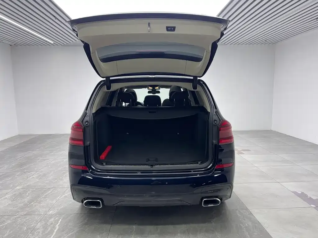 BMW X3 2021 из CN, фото 6