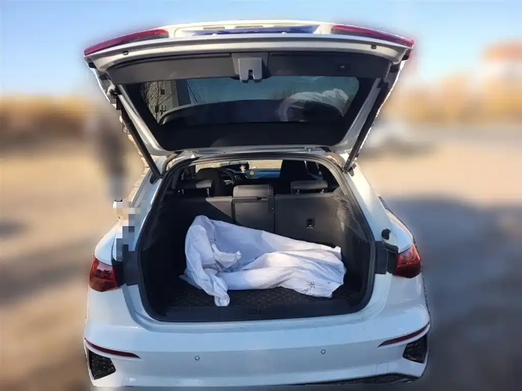 Audi A3 2024 из CN, фото 9