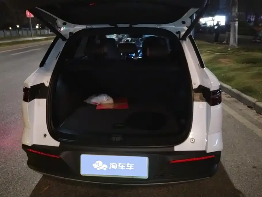 BYD Pro New Energy 2023 из CN, фото 2