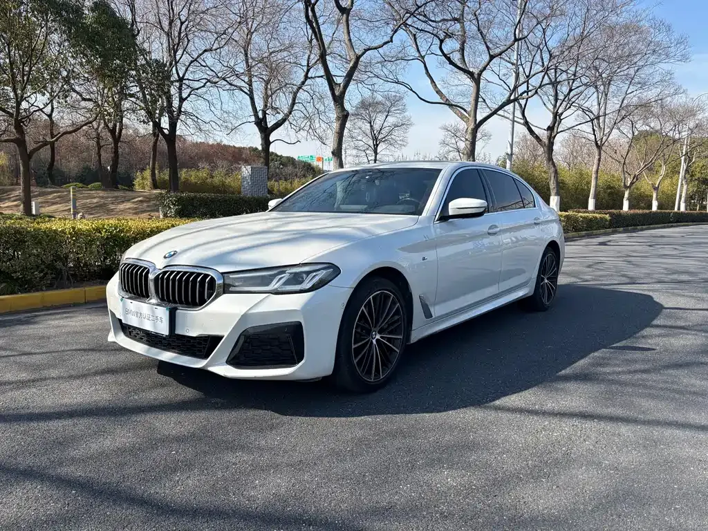 BMW 5 Series 2023 из CN, фото 1