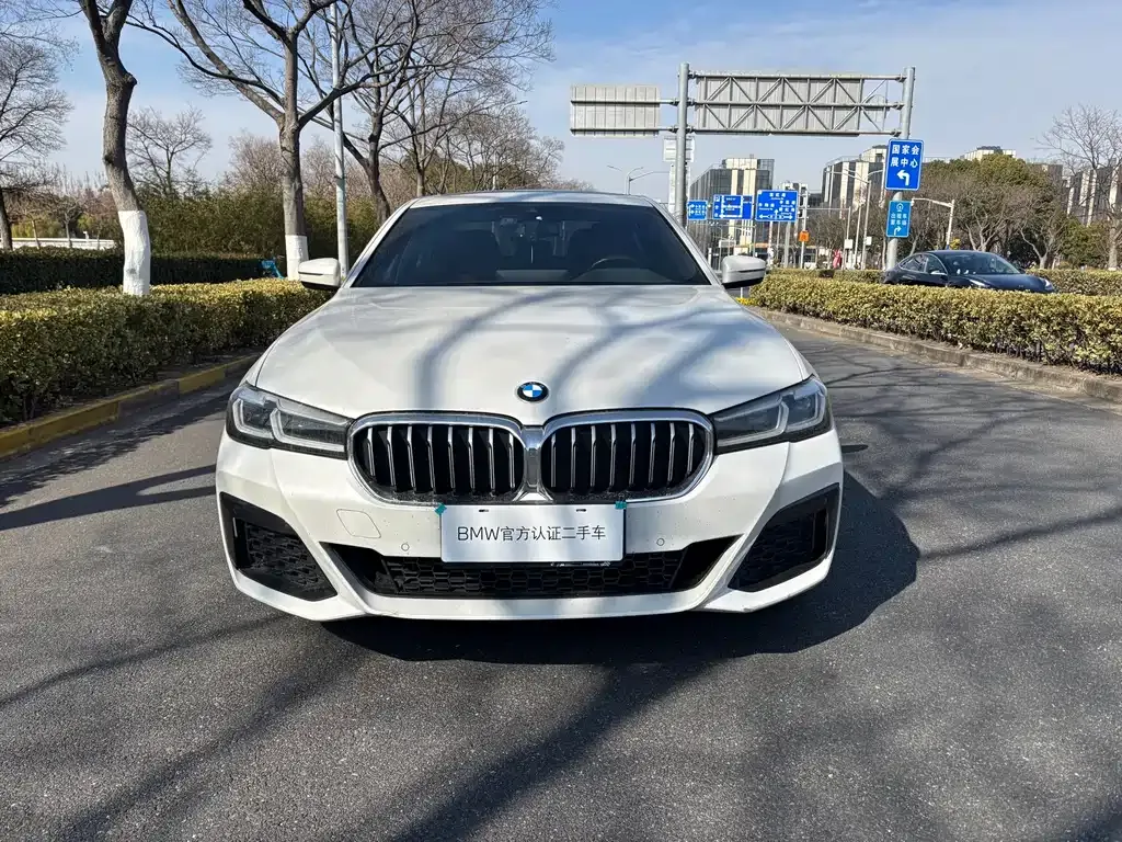 BMW 5 Series 2023 из CN, фото 6