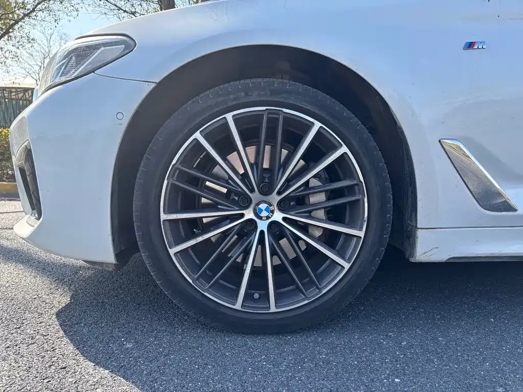 BMW 5 Series 2023 из CN, фото 2