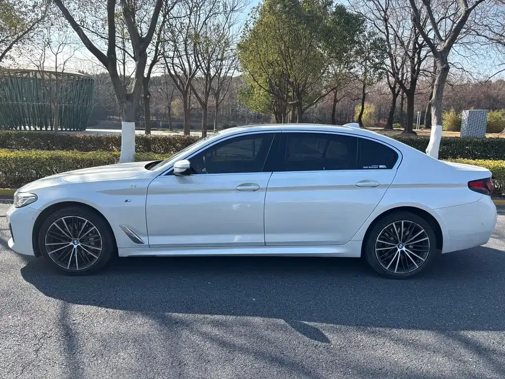 BMW 5 Series 2023 из CN, фото 8