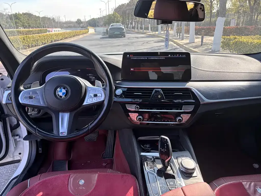 BMW 5 Series 2023 из CN, фото 4