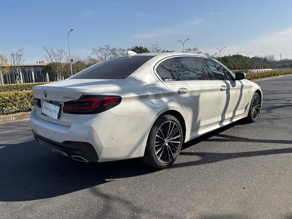 BMW 5 Series 2023 из CN, фото 9