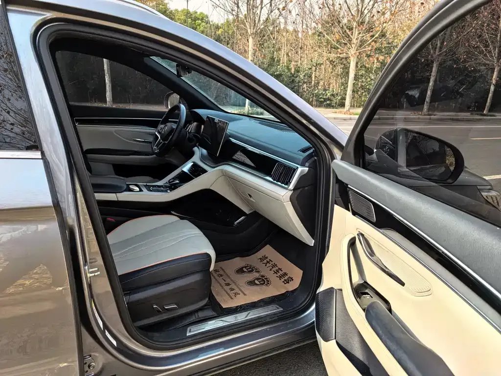 BYD PLUS New Energy 2023 из CN, фото 7
