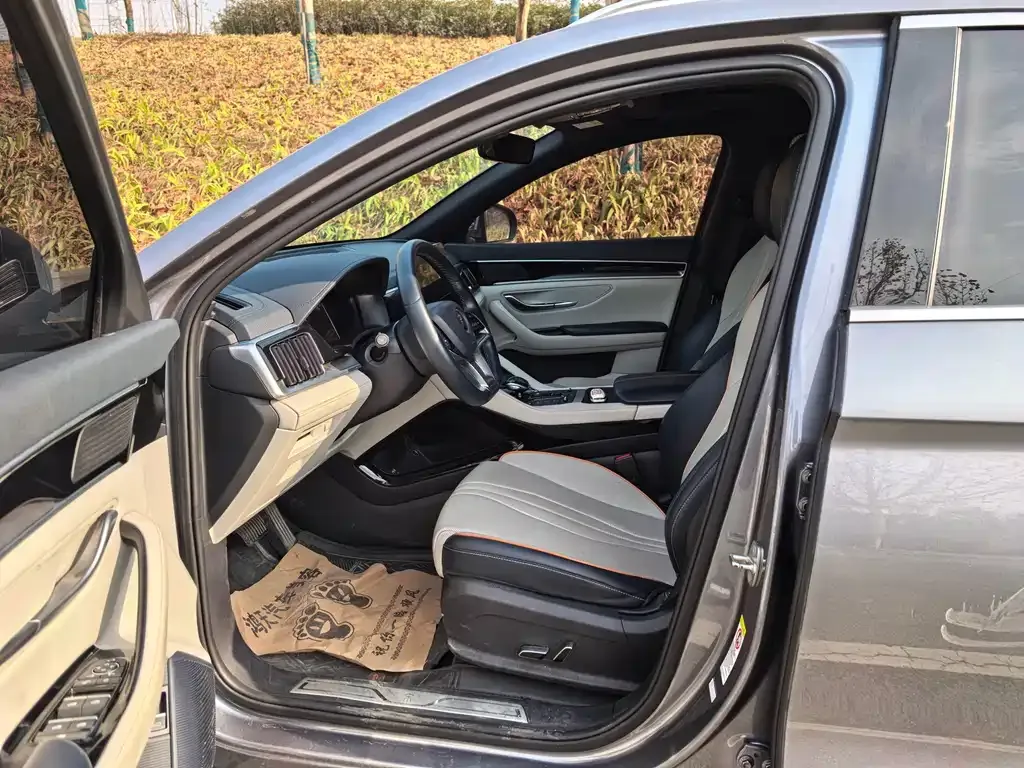 BYD PLUS New Energy 2023 из CN, фото 5