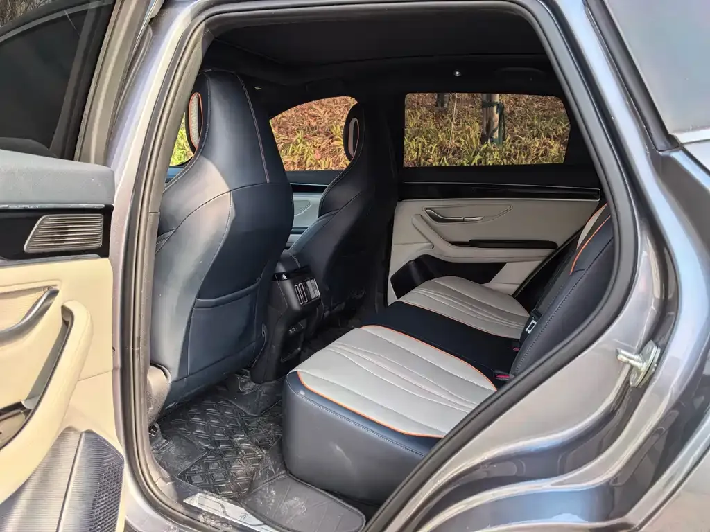 BYD PLUS New Energy 2023 из CN, фото 4