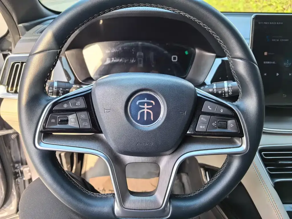 BYD PLUS New Energy 2023 из CN, фото 6
