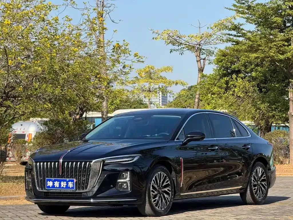 Hongqi H5 2024 из CN, фото 1