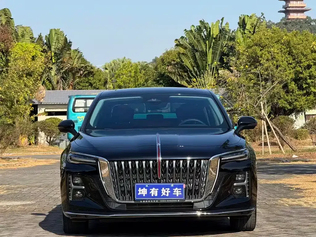 Hongqi H5 2024 из CN, фото 2