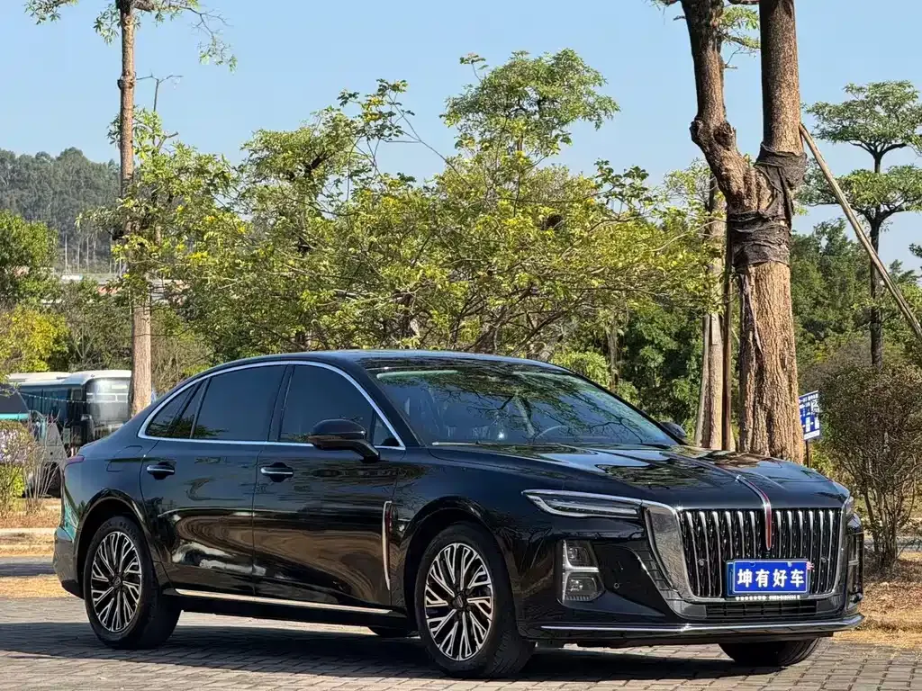 Hongqi H5 2024 из CN, фото 3