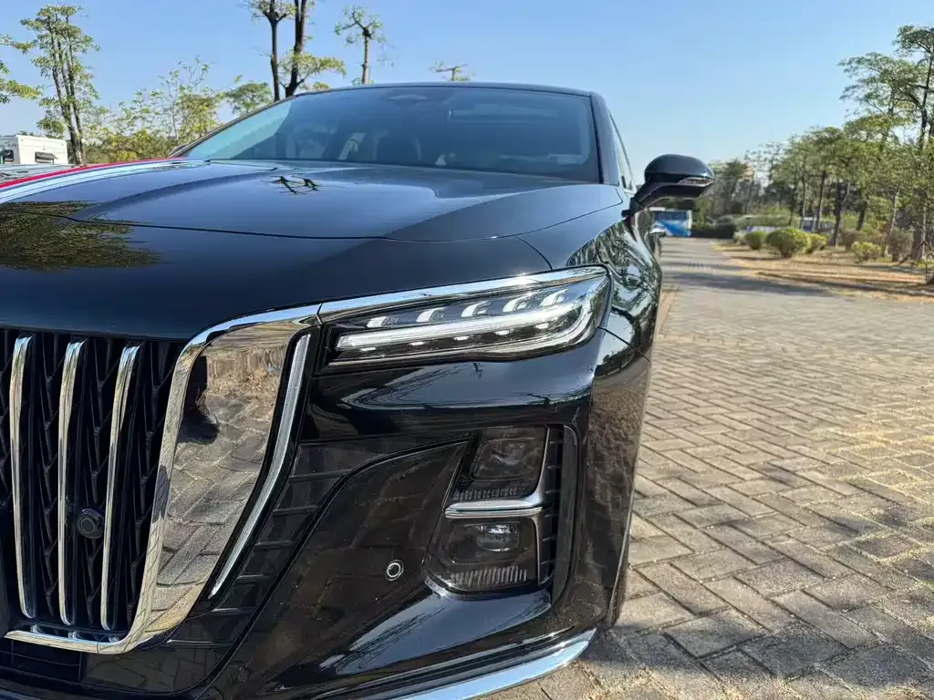 Hongqi H5 2024 из CN, фото 8