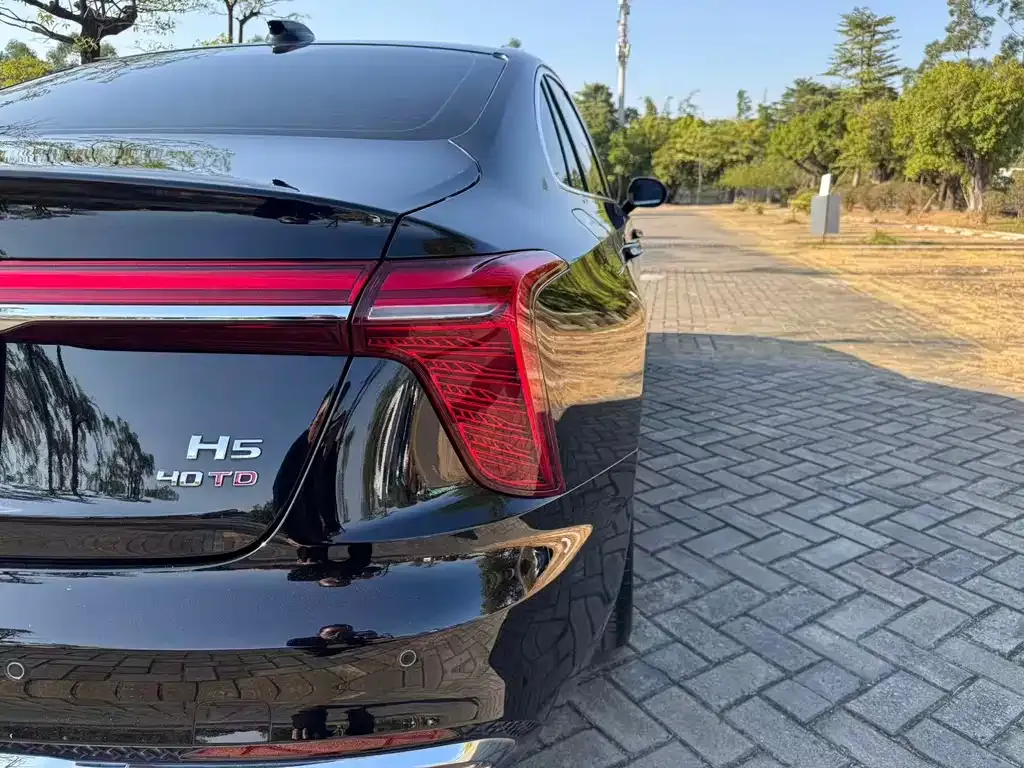 Hongqi H5 2024 из CN, фото 9