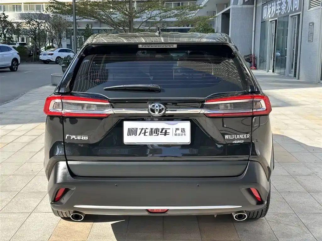 Toyota Wildlander 2023 из CN, фото 5