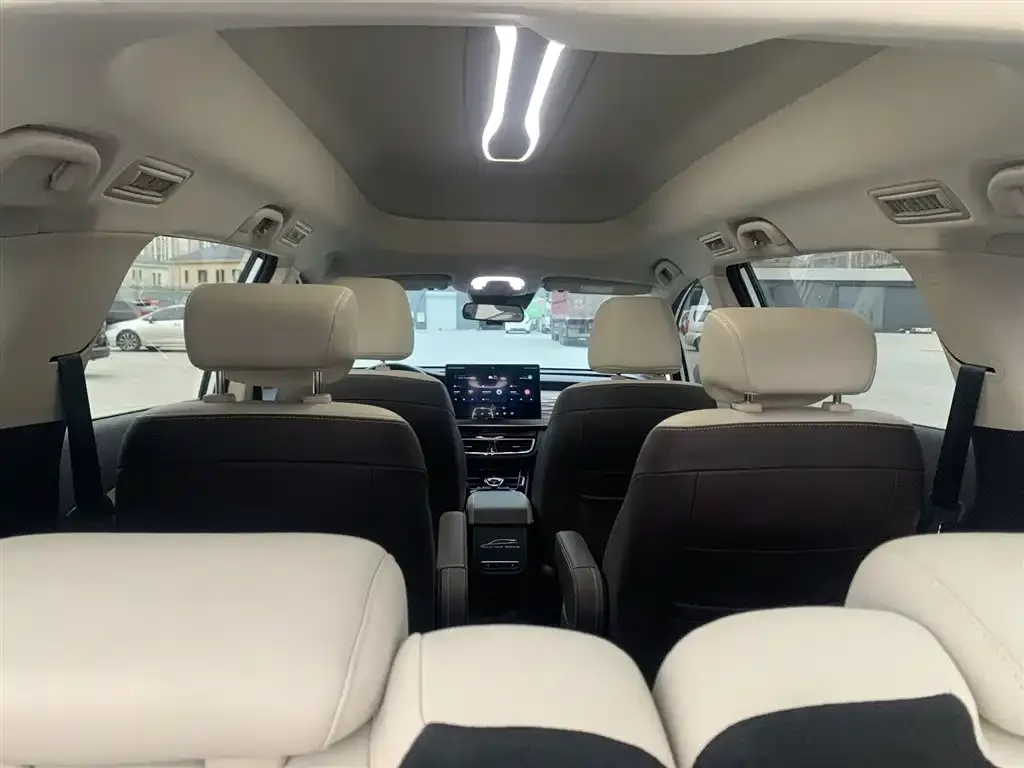 BYD MAX New Energy 2022 из CN, фото 10
