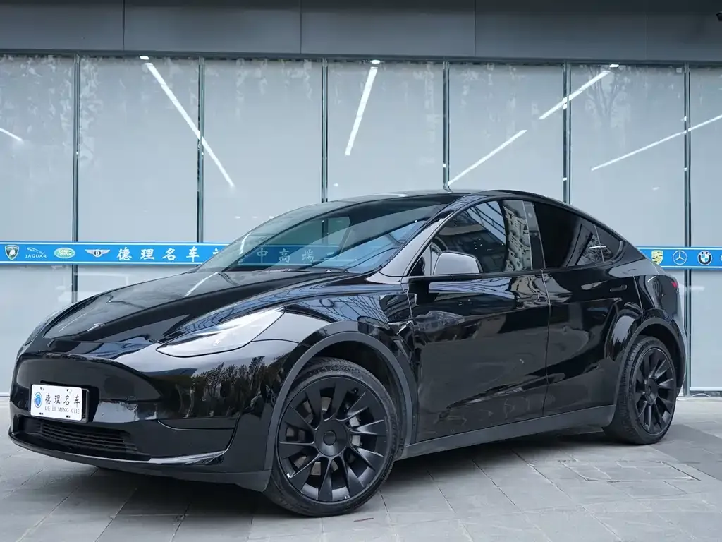 Tesla Model Y 2022 из CN, фото 1