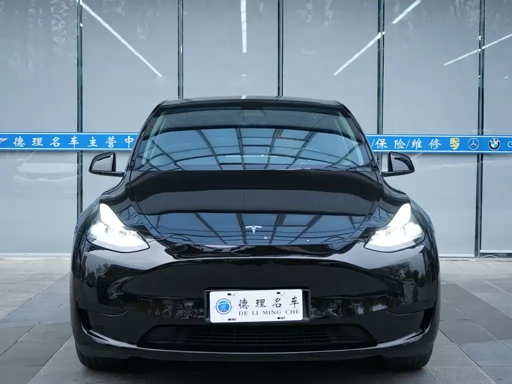 Tesla Model Y 2022 из CN, фото 3