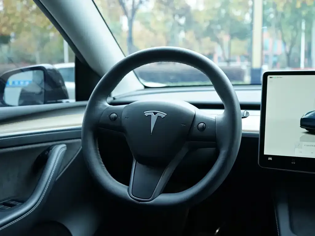 Tesla Model Y 2022 из CN, фото 6