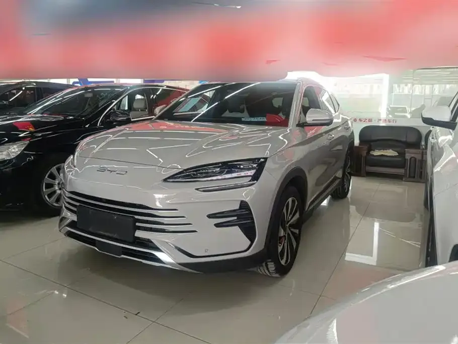 BYD PLUS New Energy 2024 из CN, фото 1