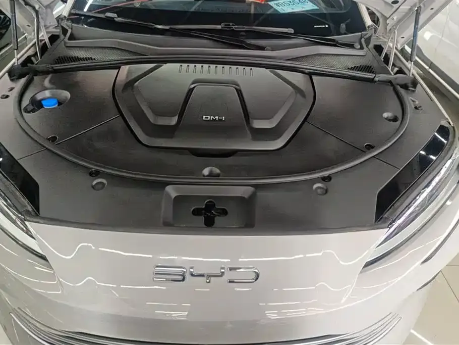 BYD PLUS New Energy 2024 из CN, фото 8