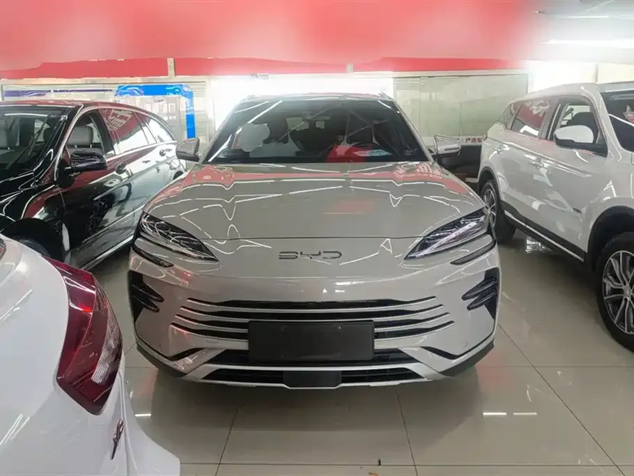 BYD PLUS New Energy 2024 из CN, фото 3