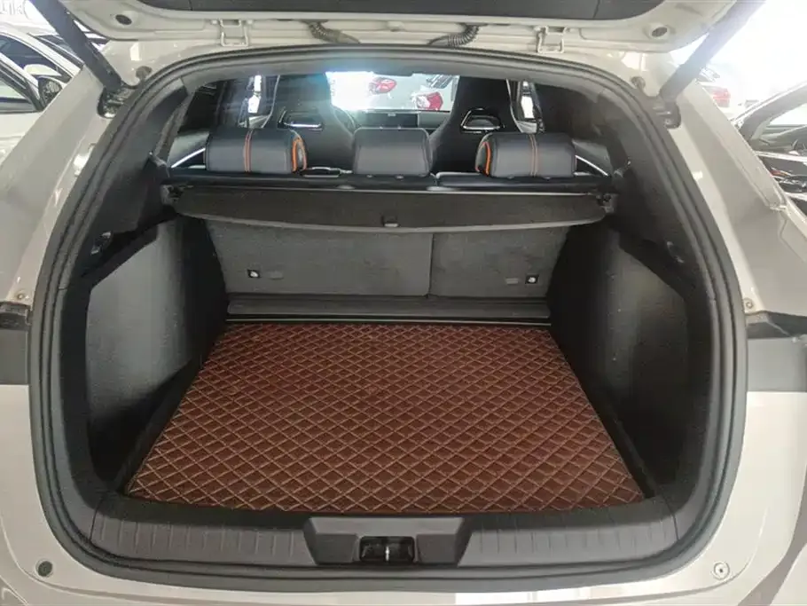 BYD PLUS New Energy 2024 из CN, фото 7