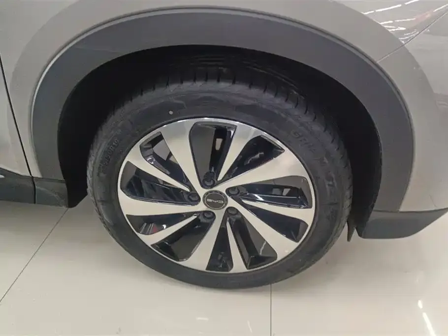 BYD PLUS New Energy 2024 из CN, фото 6