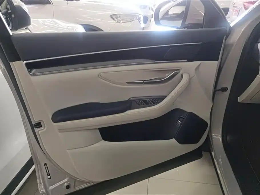 BYD PLUS New Energy 2024 из CN, фото 9