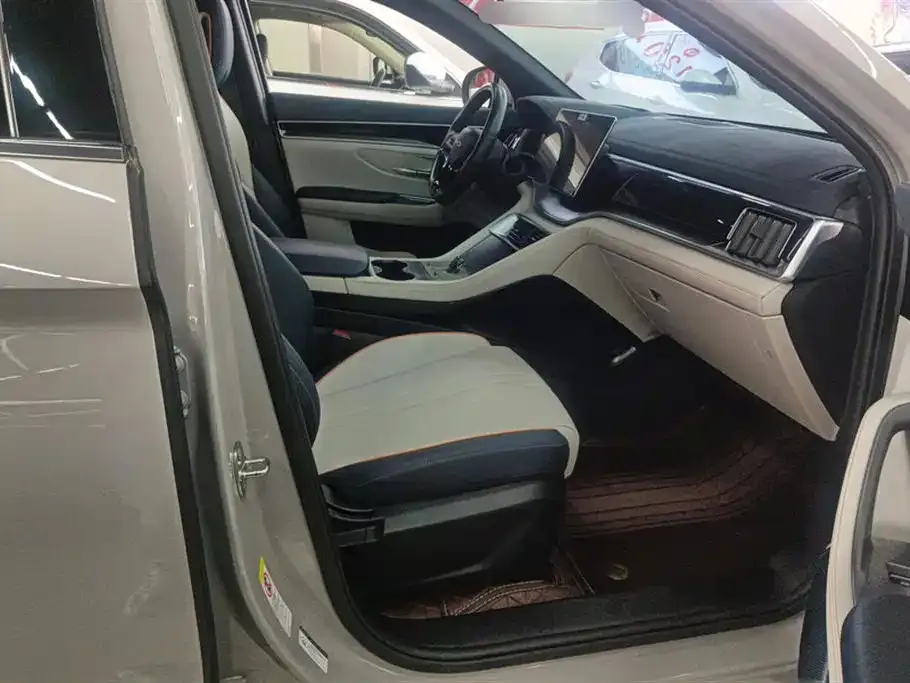 BYD PLUS New Energy 2024 из CN, фото 4