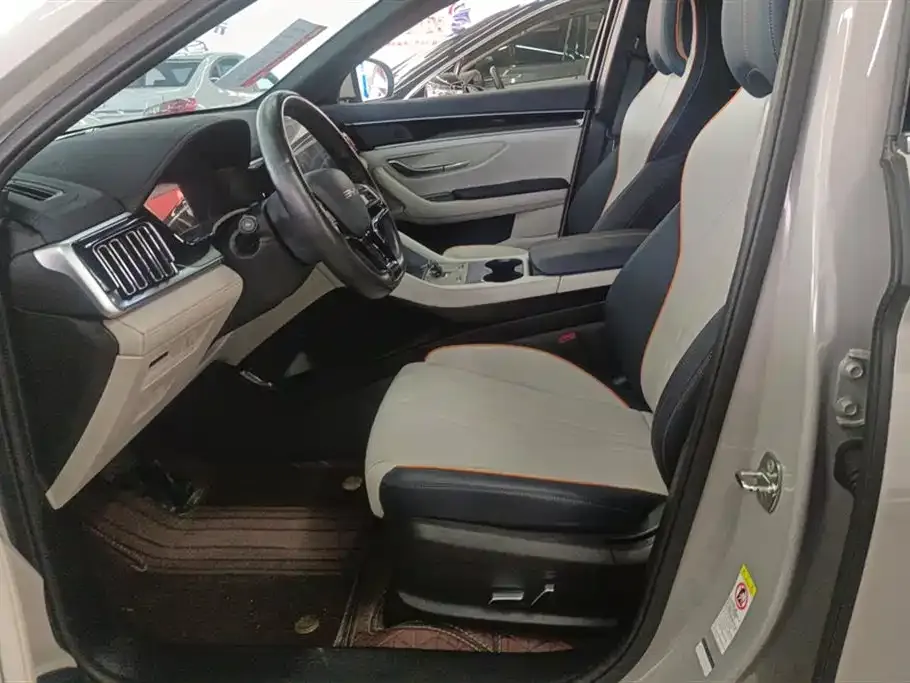 BYD PLUS New Energy 2024 из CN, фото 10