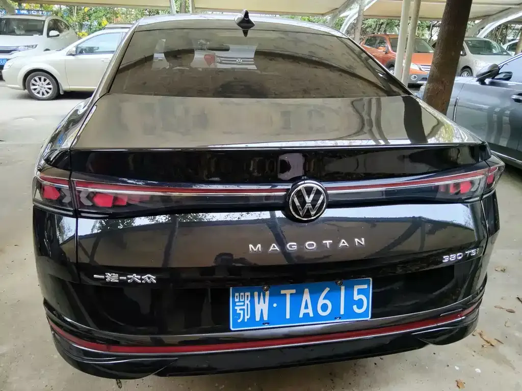 [object Object] Magotan 2024 из CN, фото 8