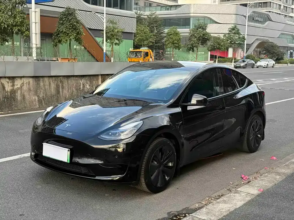 Tesla Model Y 2023 из CN, фото 1