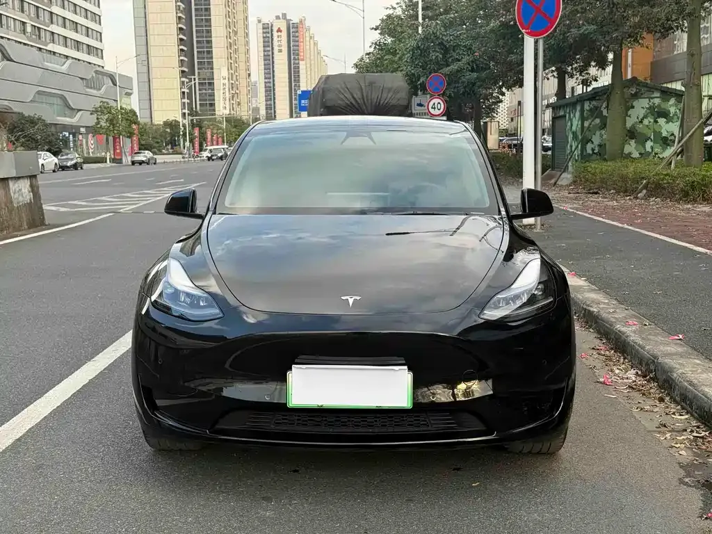Tesla Model Y 2023 из CN, фото 2