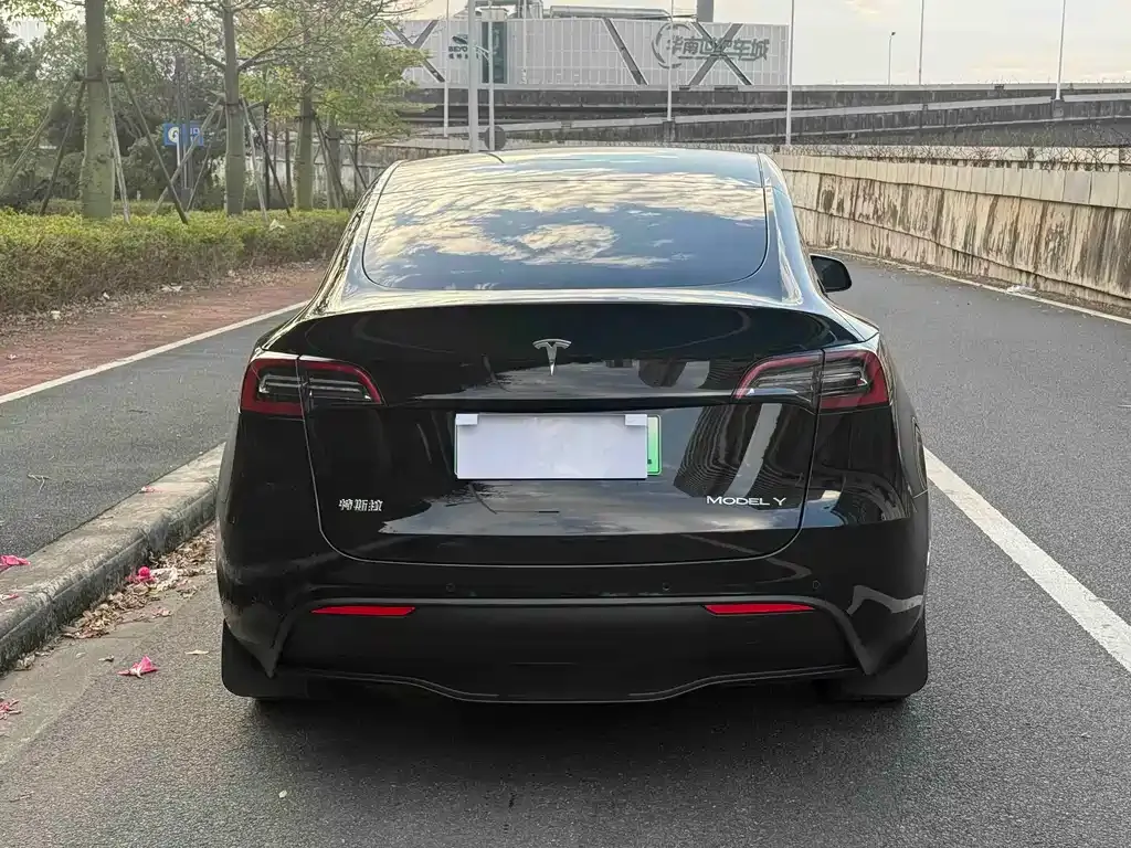 Tesla Model Y 2023 из CN, фото 4