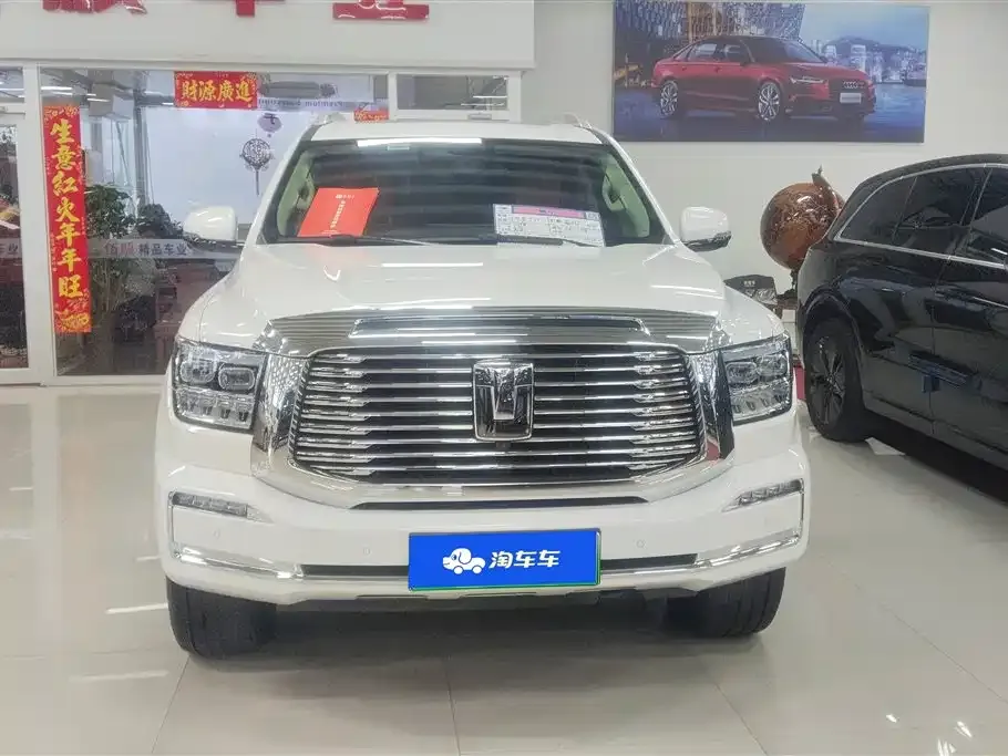 Tank 500 New Energy 2024 из CN, фото 7