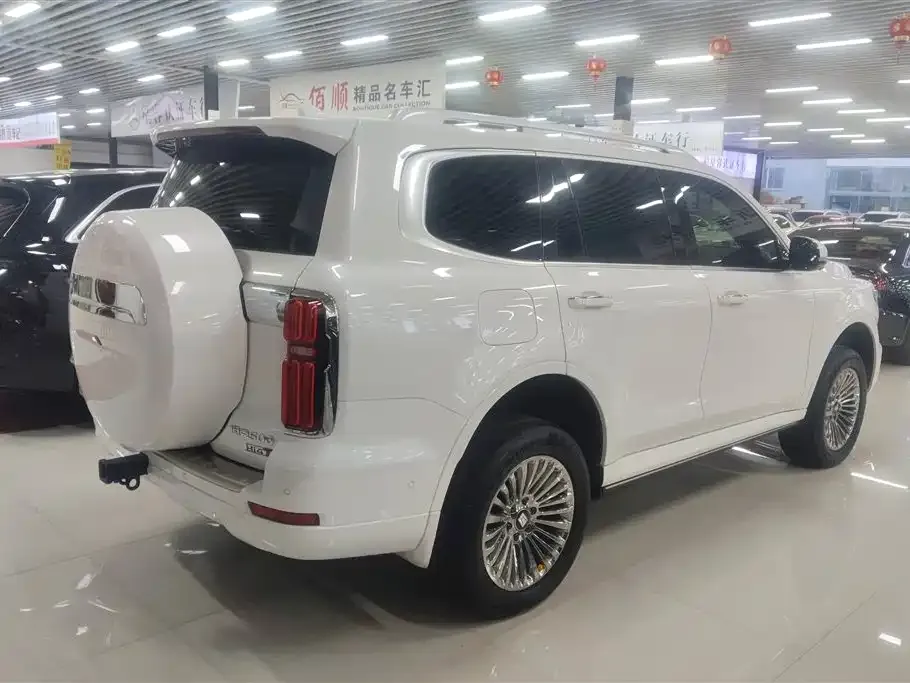 Tank 500 New Energy 2024 из CN, фото 8