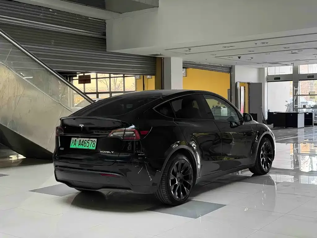 Tesla Model Y 2021 из CN, фото 7