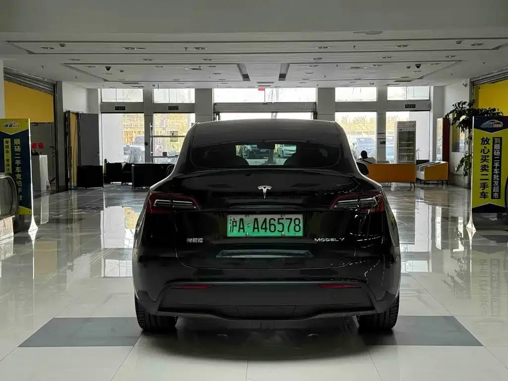 Tesla Model Y 2021 из CN, фото 8