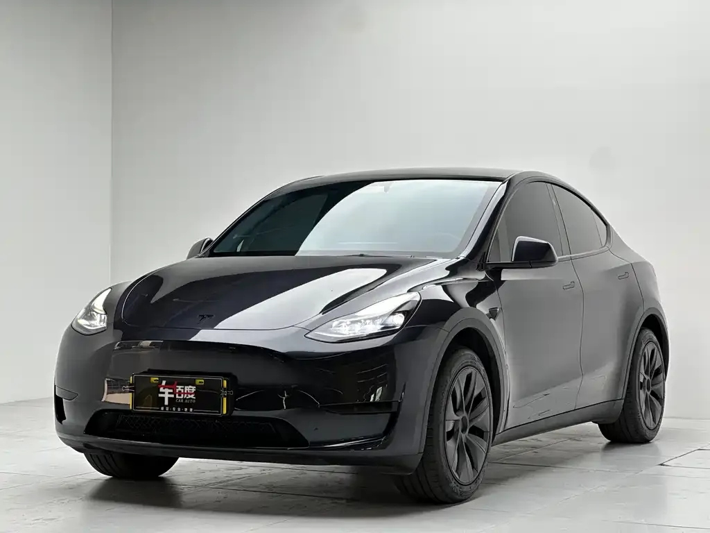 Tesla Model Y 2024 из CN, фото 1